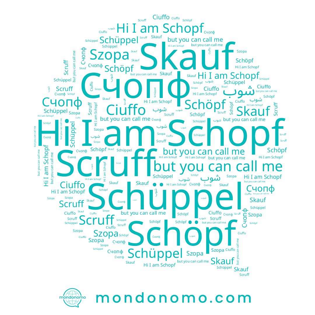 name Szopa, name Ciuffo, name Счопф, name Skauf, name Schopf, name Schüppel, name Scruff, name Schöpf