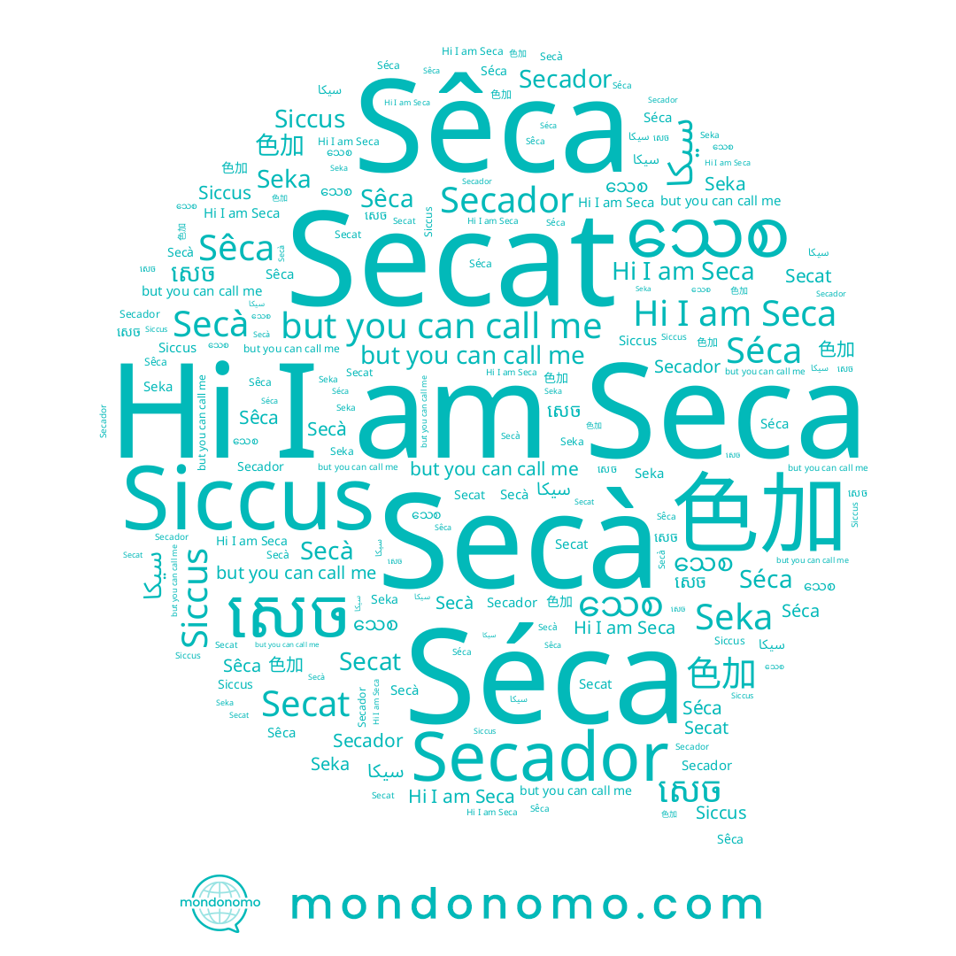 name Seca, name Séca, name Secà, name Seka, name သေစ, name 色加, name Secat, name Siccus, name សេច, name Sêca