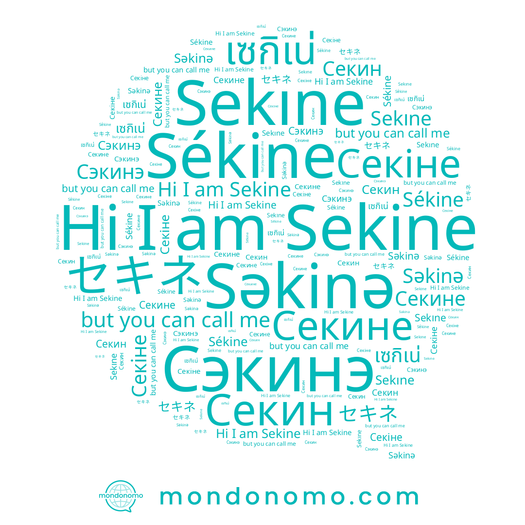 name Секіне, name เซกิเน่, name Секин, name Секине, name Sékine, name セキネ, name Sekıne, name Sekine, name Сэкинэ