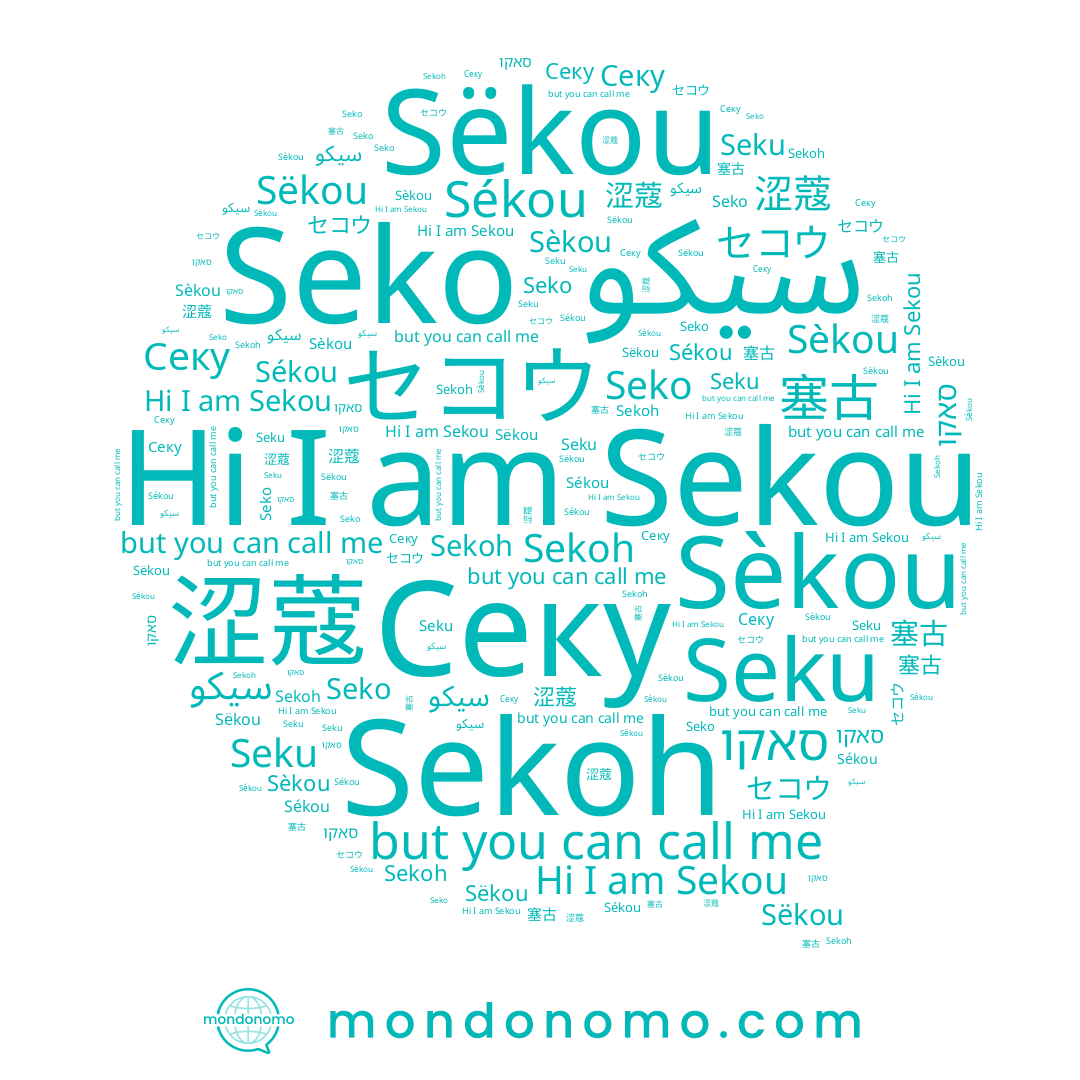name Sekoh, name Seko, name Sèkou, name 塞古, name 涩蔻, name Секу, name Sekou, name סאקו, name سيكو, name セコウ, name Seku, name Sëkou, name Sékou