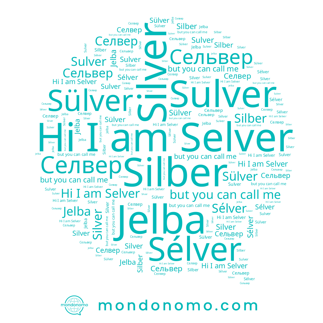 name Silver, name Sülver, name Sulver, name Сельвер, name Silber, name Selver, name Jelba, name Sélver