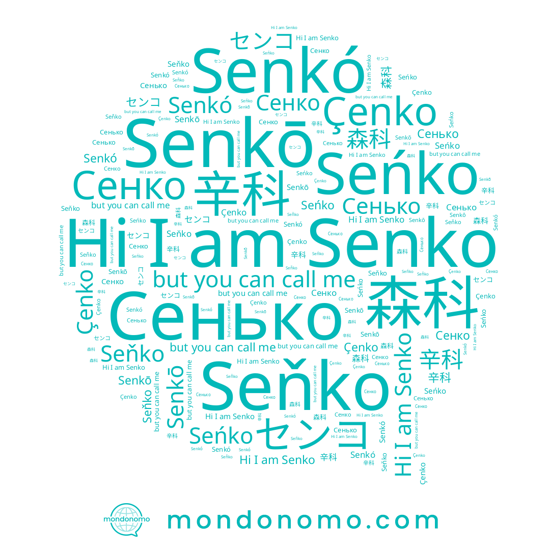 name Seńko, name 森科, name Senkō, name Çenko, name 辛科, name センコ, name Senkó, name Seňko, name Senko, name Сенько, name Сенко