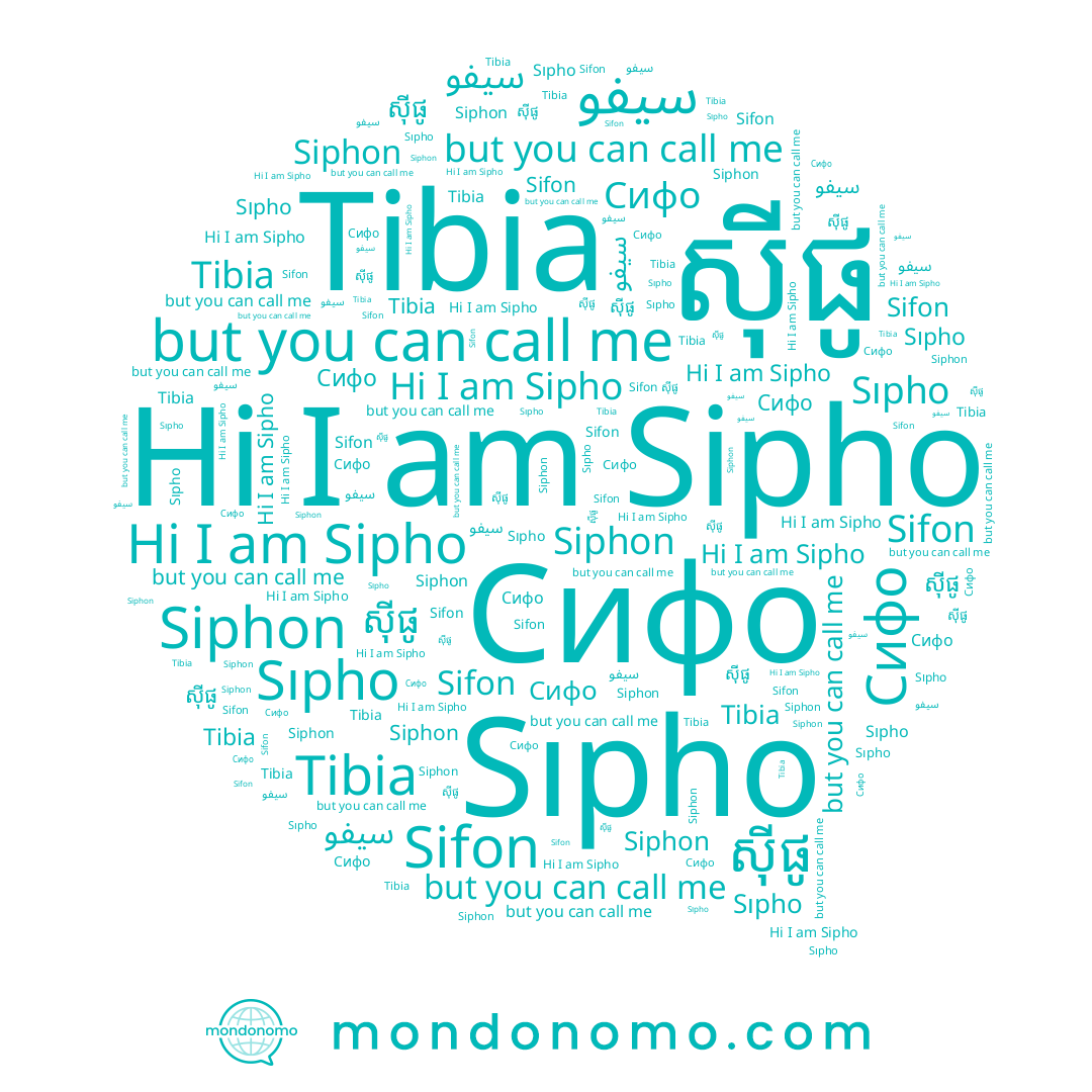 name سيفو, name Sifon, name Siphon, name ស៊ីផូ, name Tibia, name Сифо, name Sipho