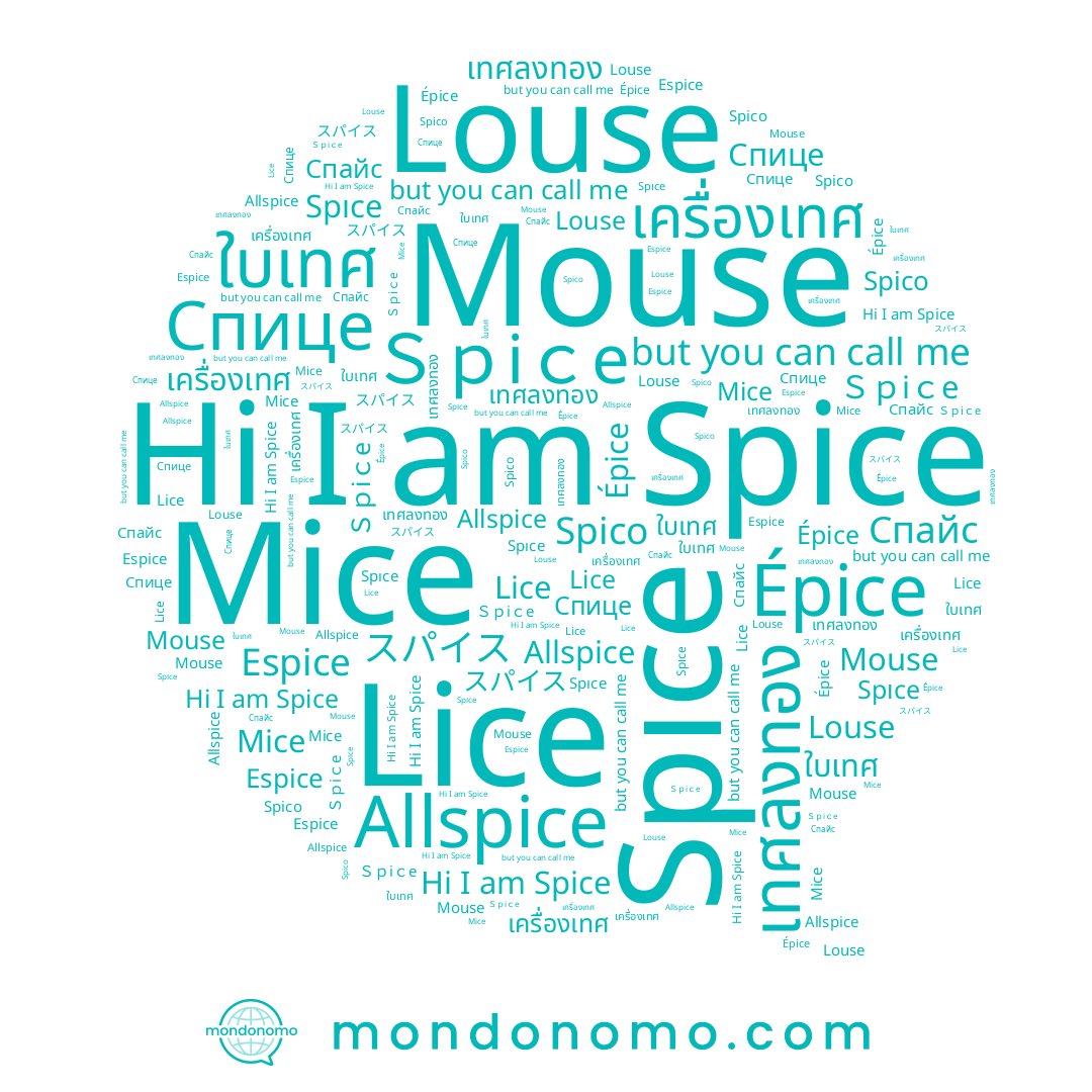 name เทศลงทอง, name Mouse, name Spıce, name ใบเทศ, name เครื่องเทศ, name Спице, name Spice, name Espice, name Louse, name Lice, name Épice, name Ｓｐiｃe