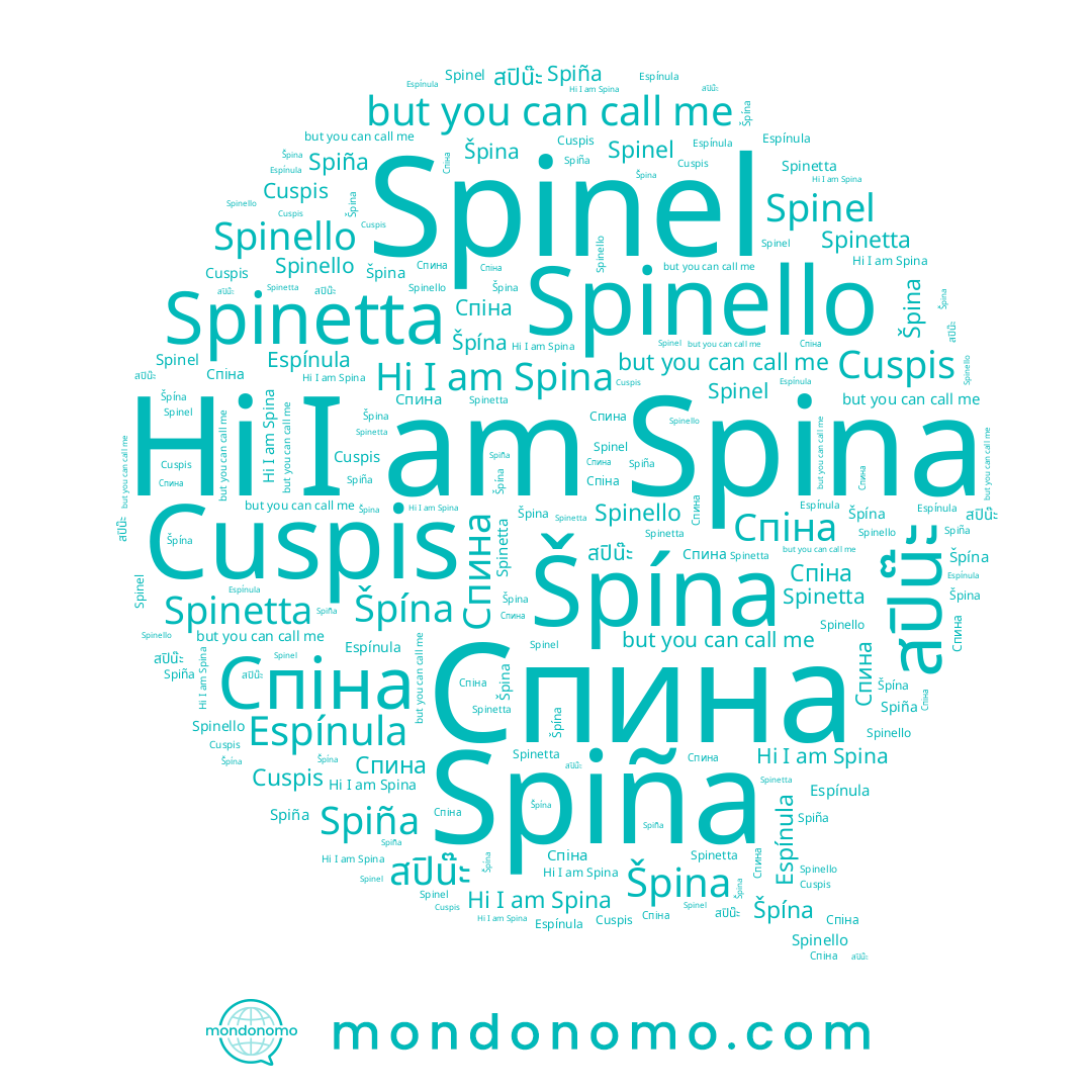 name Spinello, name Spiña, name Spinel, name Espínula, name Спина, name Spina, name สปิน๊ะ, name Spinetta