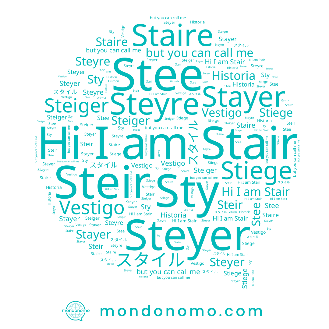 name Stee, name Steyre, name Sty, name Steiger, name Staire, name Steyer, name Historia, name Stiege, name Stair, name Steir, name スタイル, name Stayer