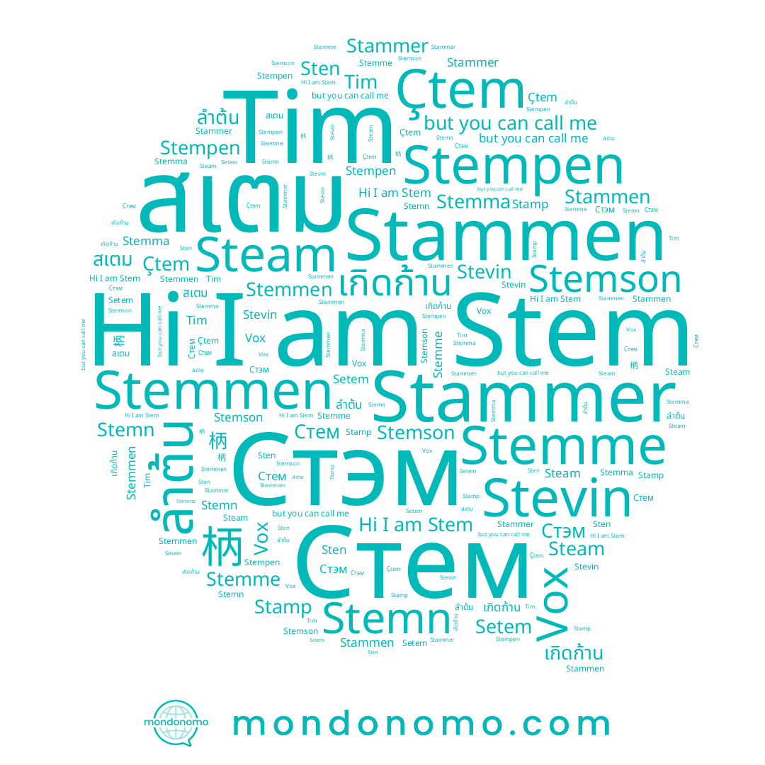 name Setem, name Stammen, name Stevin, name Stemme, name Stem, name Vox, name เกิดก้าน, name Stemn, name 柄, name Stemson, name Çtem, name ลำต้น, name Stamp, name Stammer, name Stempen, name Tim, name Sten, name สเตม