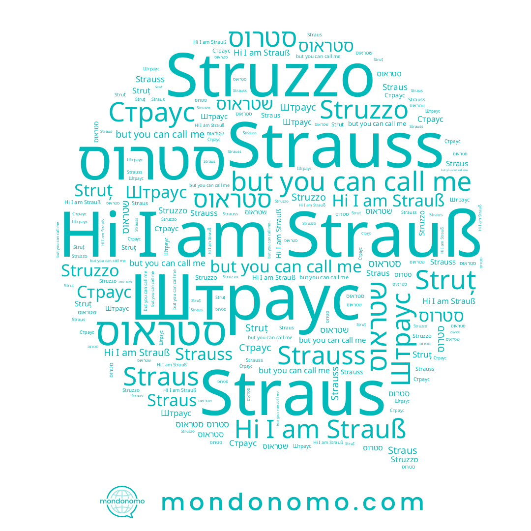 name סטראוס, name Strauß, name Штраус, name Страус, name סטרוס, name Struzzo, name שטראוס, name Strauss, name Straus