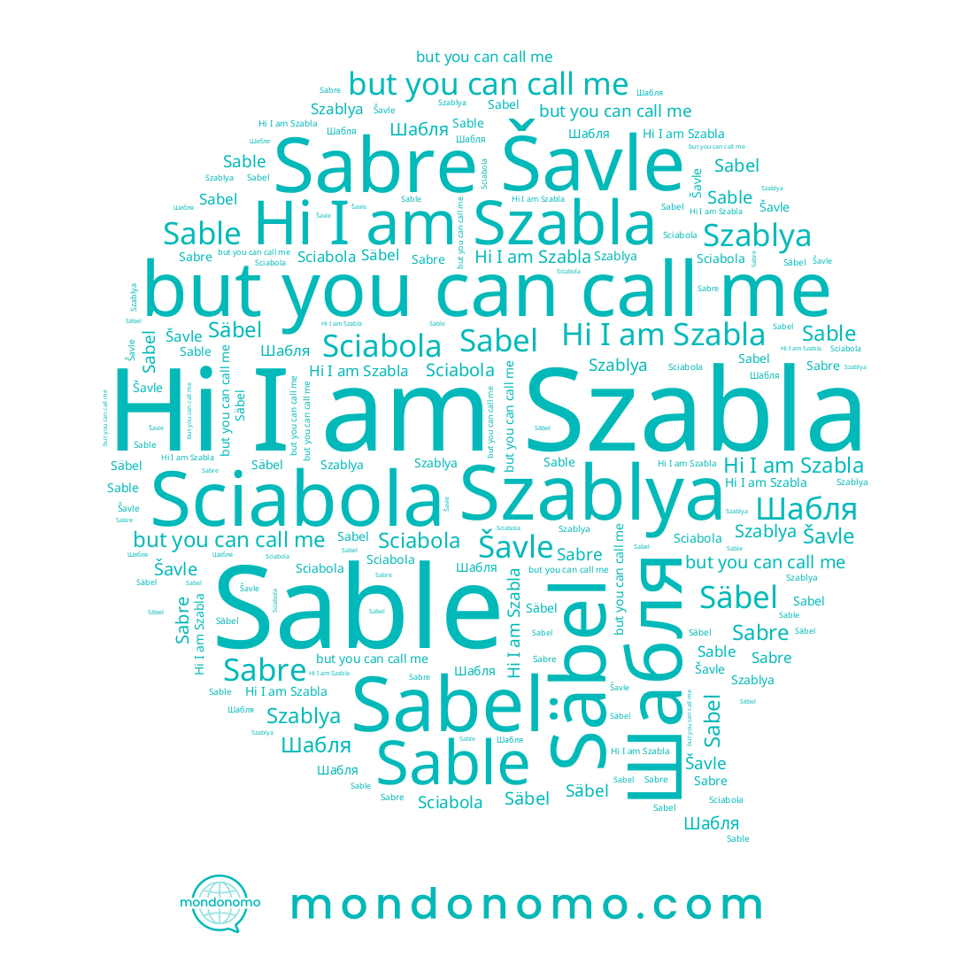 name Šavle, name Sciabola, name Szabla, name Sable, name Säbel, name Sabel, name Шабля, name Szablya, name Sabre