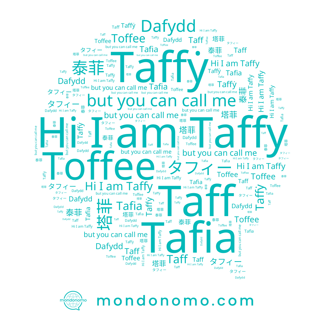 name 泰菲, name Taffy, name Dafydd, name 塔菲, name Taffẏ, name Taff, name Tafia, name タフィー
