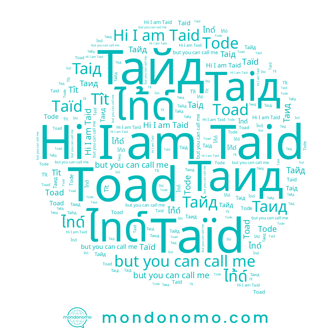 name Таид, name Тайд, name Таід, name Tode, name Taid, name ไทด์, name Taïd, name ไท้ด์