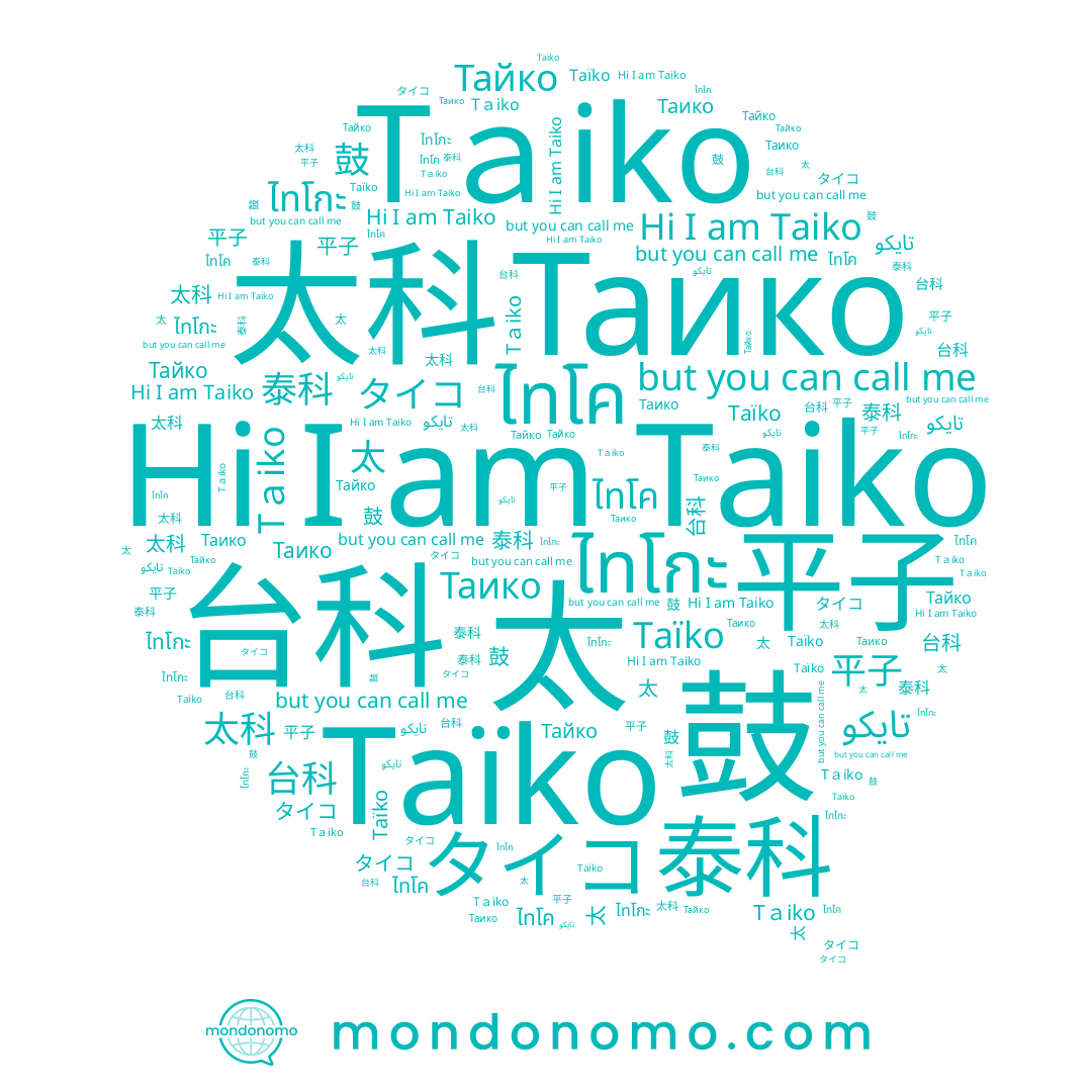 name 台科, name 太科, name Taiko, name تايكو, name ไทโค, name ไทโกะ, name Taïko, name タイコ, name 泰科, name 平子, name 鼓, name Tａiko, name 太
