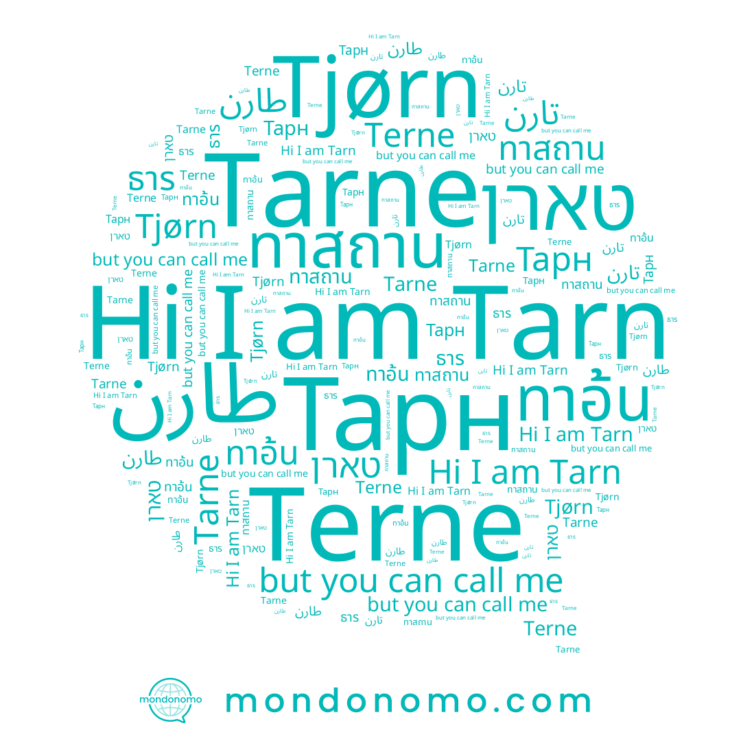 name ทาอ้น, name Tarn, name ทาสถาน, name طارن, name Terne, name ธาร, name Tjørn, name טארן, name Tarne, name Тарн