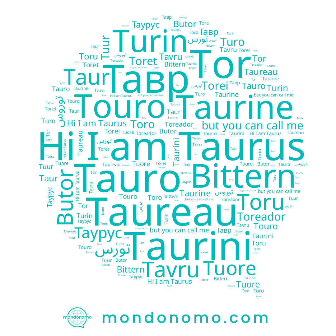 name Bittern, name Torei, name Toro, name Taureau, name Toret, name Taur, name Turin, name Tuur, name Taurini, name Tauro, name Toru, name Tor, name Tavru, name Tuore, name Taurine, name Turo, name Taurus, name Touro