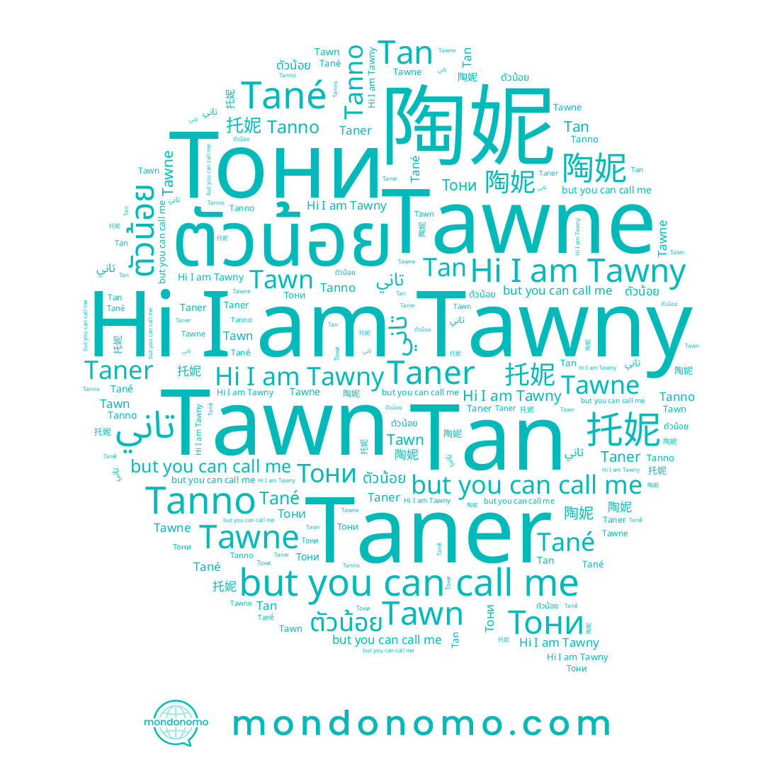 name تاني, name 陶妮, name Tawn, name Tawne, name Tawny, name ตัวน้อย, name Tané, name Tan, name 托妮, name Тони, name Tanno, name Taner