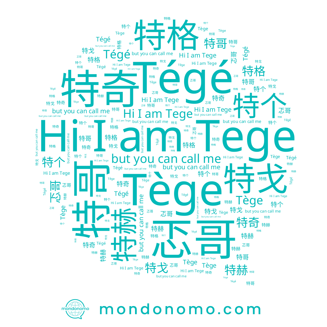 name 特哥, name 特格, name Tège, name Tege, name 忑哥, name 特赫, name 特戈, name 特个, name Tégé, name 特奇