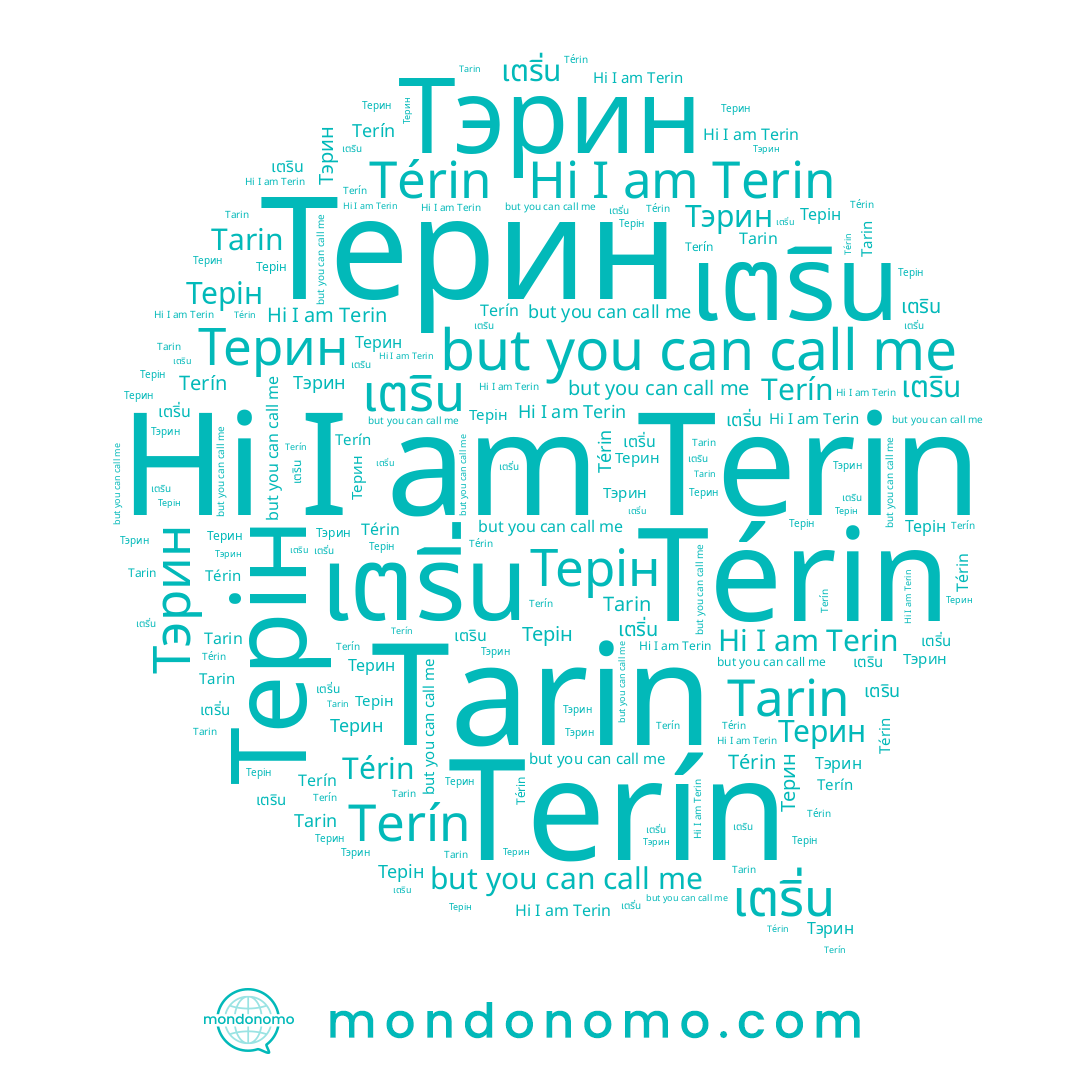 name Терин, name Tarin, name เตริน, name เตริ่น, name Terin, name Térin, name Тэрин, name Терін, name Terín