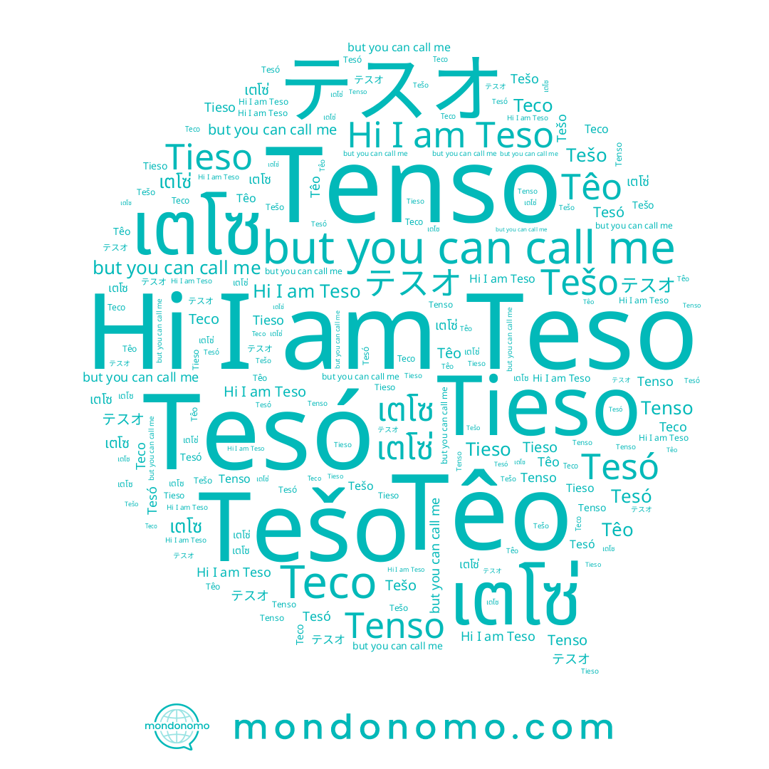 name Teso, name Tesó, name เตโซ่, name テスオ, name Tenso, name เตโซ, name Têo, name Tešo, name Tieso