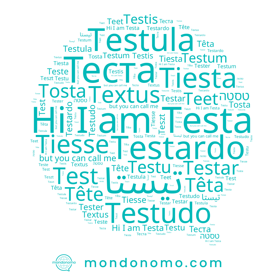 name Teet, name Têta, name Tiesta, name Tester, name Tosta, name Testar, name Tiesse, name Testula, name Testa, name Testardo, name Test, name Теста, name Tête, name Teszt, name Teste, name Testis, name Testu