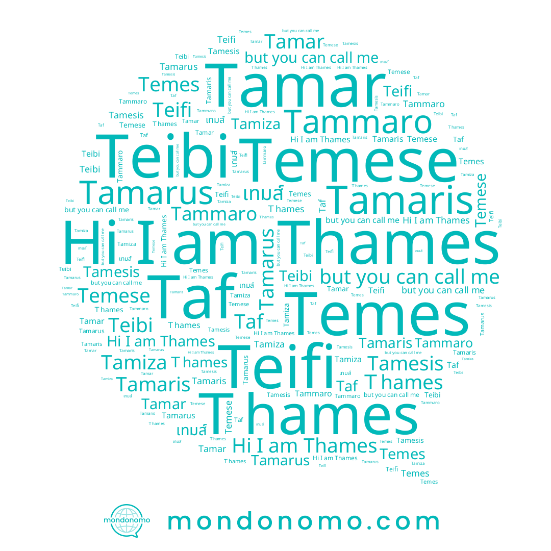 name Tamarus, name Teibi, name Temes, name Tamesis, name Tamaris, name เทมส์, name Temese, name Teifi, name Tamiza, name Tamar, name Tammaro, name Ｔhames, name Thames