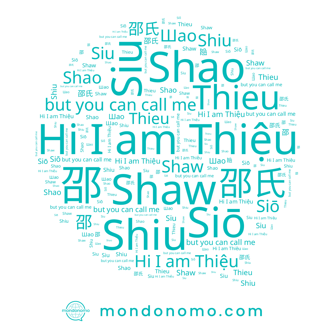 name Siu, name Shao, name 邵氏, name Siō, name Shiu, name 邵, name Thieu, name Шао, name Thiệu, name Shaw