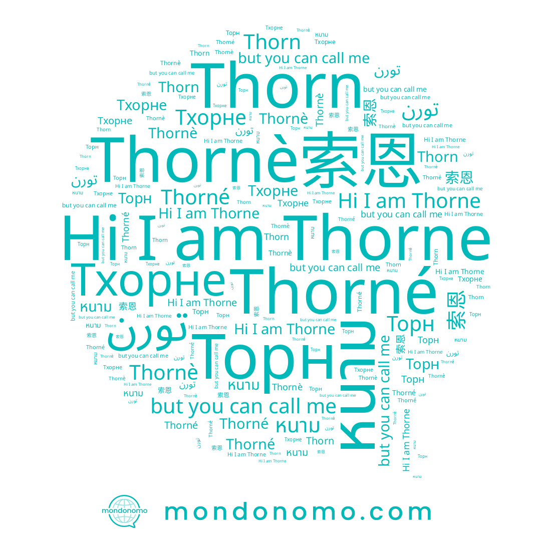 name Тхорне, name Thorné, name Thornè, name 손, name Thorn, name Thorne, name หนาม, name Торн