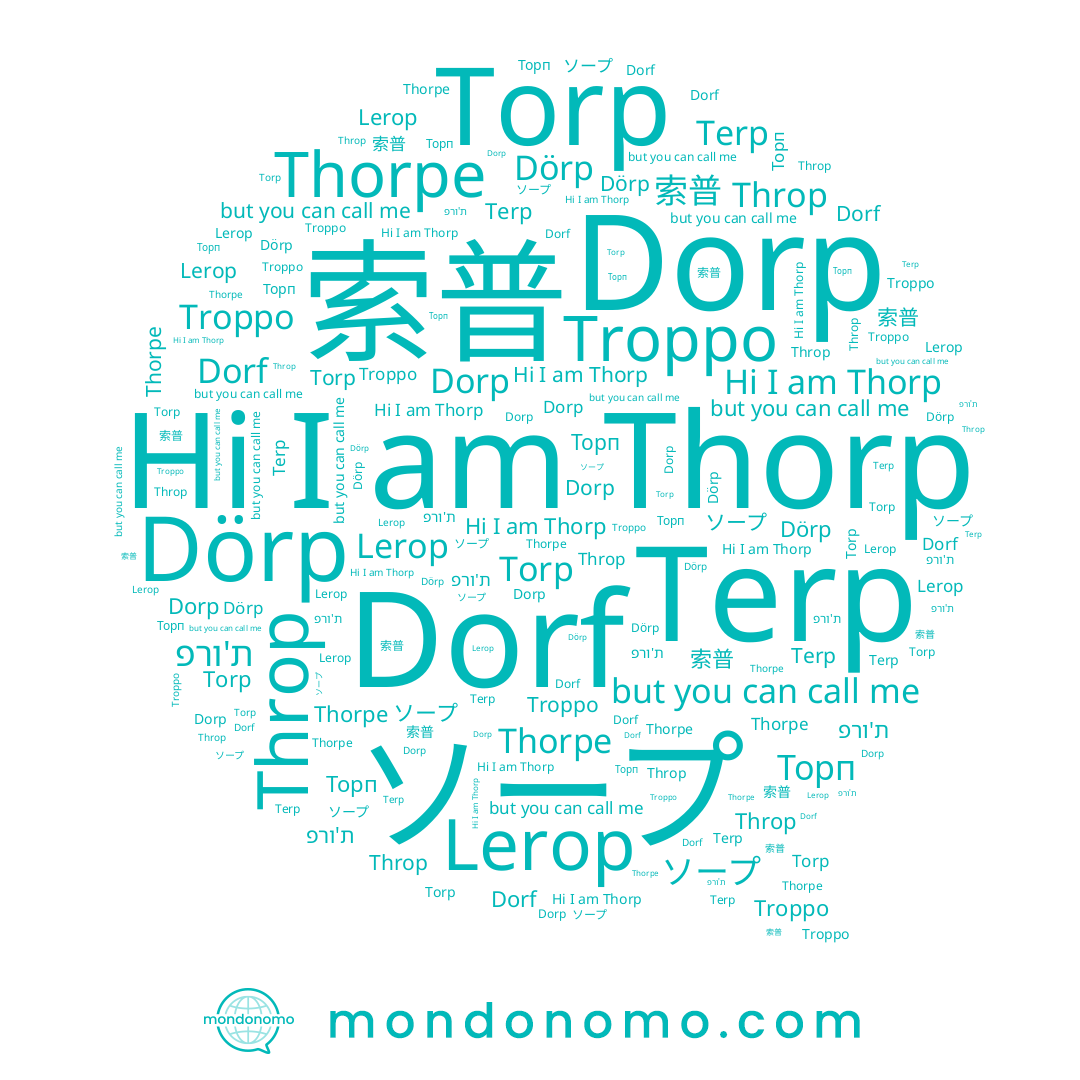 name Dorf, name Thorp, name ソープ, name Torp, name Dörp, name ת'ורפ, name Throp, name Торп, name Lerop, name Terp, name 索普, name Thorpe