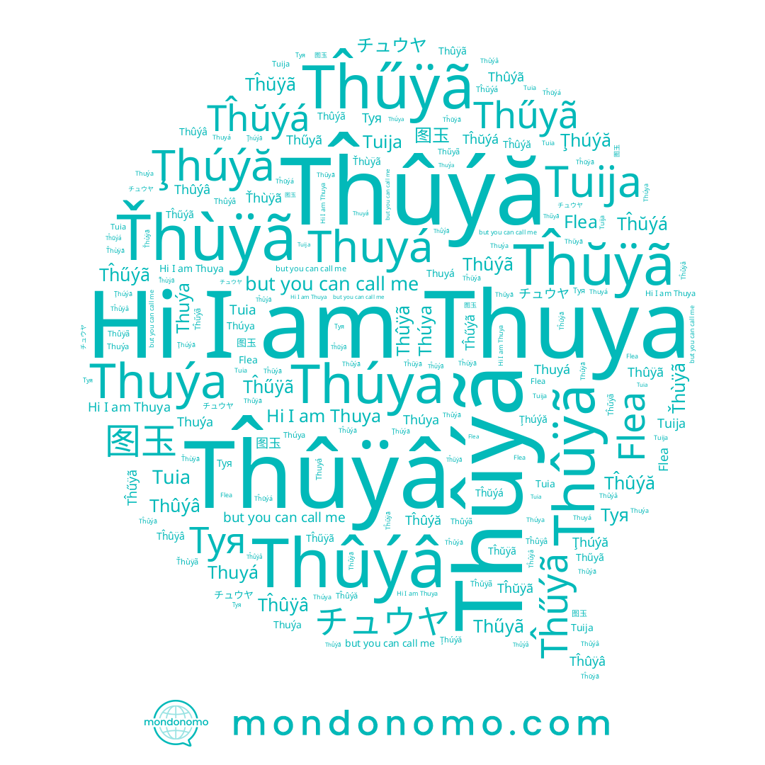 name Thuýa, name Tĥŭÿã, name Tuia, name Thuya, name Thűyã, name Thuyá, name Tĥûÿâ, name Ťhùÿã, name Tuija, name 图玉, name Tĥűýã, name Туя, name Thûýã, name Tĥûýă, name Tĥŭýá, name Thûýâ, name Thûÿã, name Tĥűÿã, name チュウヤ, name Ţhúýă, name Thúya