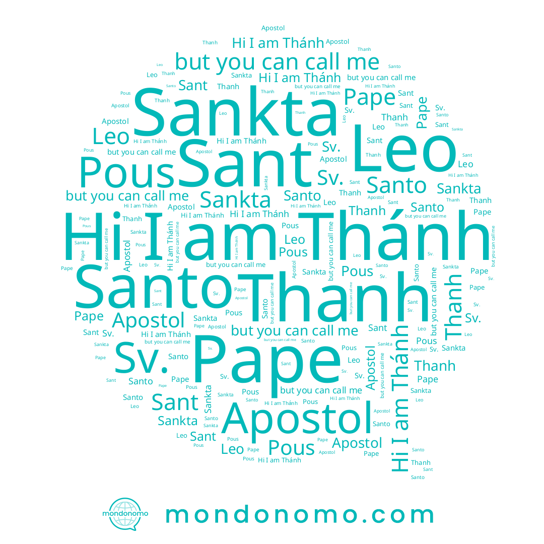 name Santo, name Pous, name Pape, name Sankta, name Thanh, name Apostol, name Sant, name Leo
