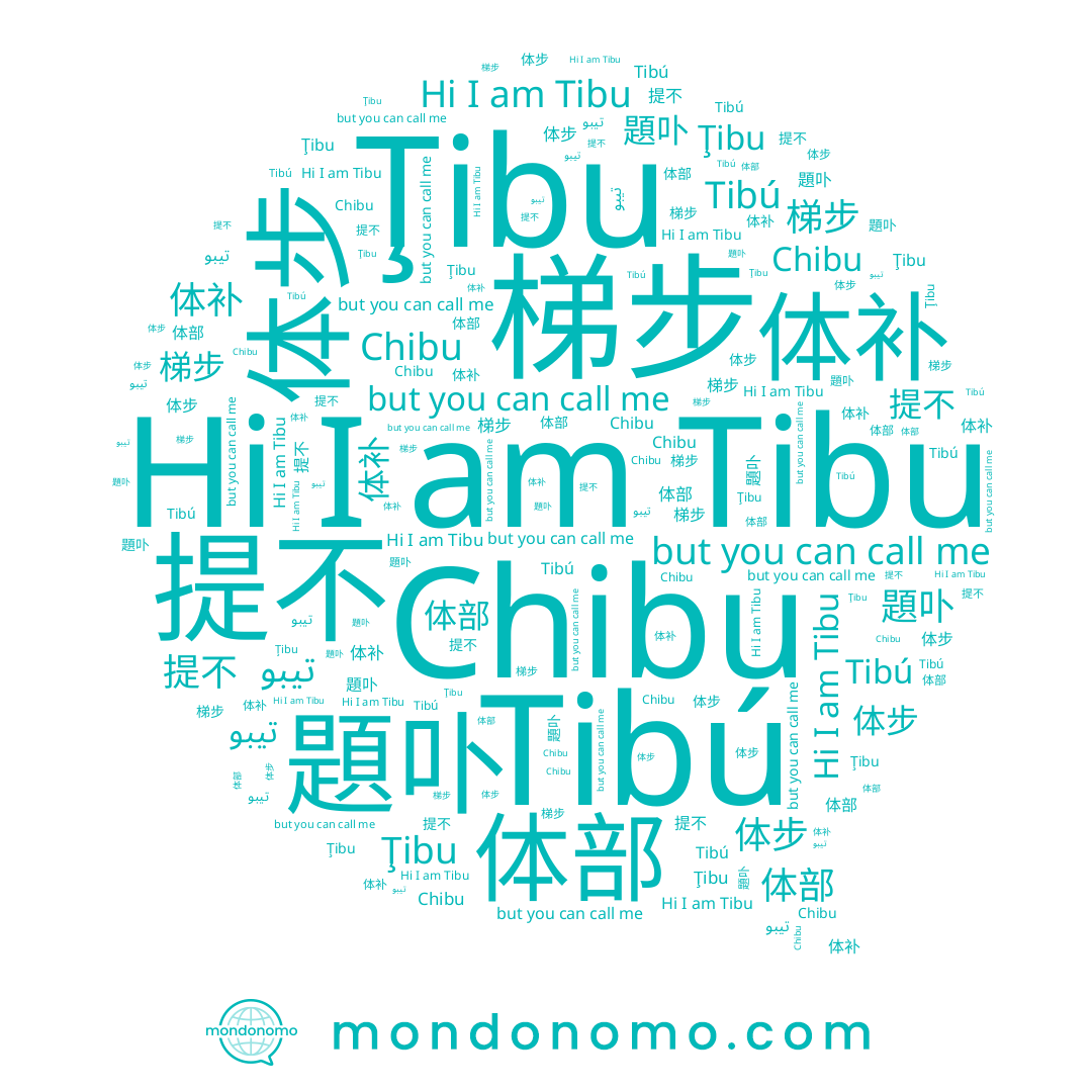 name 体部, name 体步, name تيبو, name Tibú, name 題卟, name 提不, name 体补, name Tibu, name Ţibu, name Chibu, name 梯步