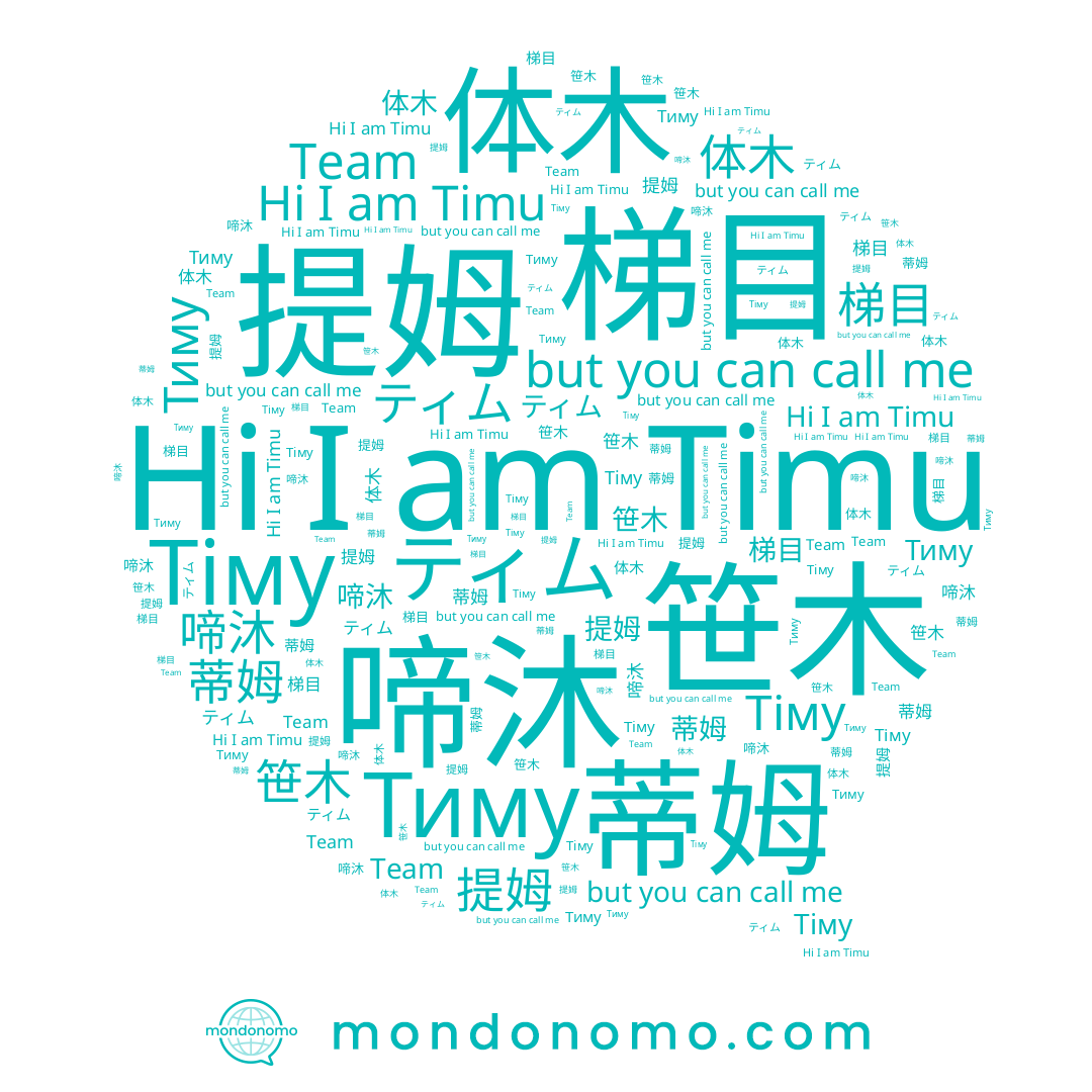 name Тиму, name Timu, name 啼沐, name Тіму, name ティム, name 体木, name 蒂姆, name 梯目, name 提姆, name Team, name 笹木