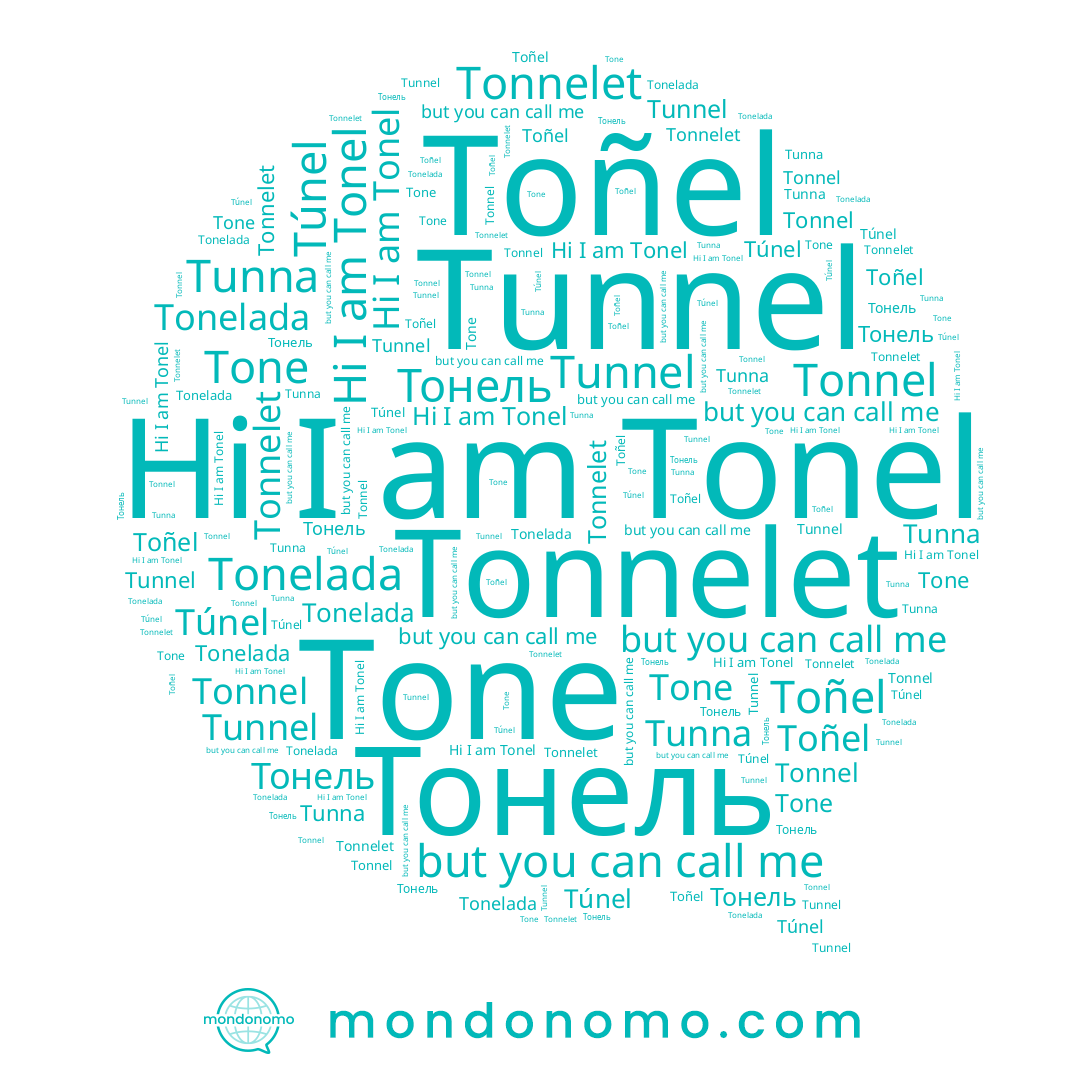 name Тонель, name Tone, name Tonnel, name Toñel, name Túnel, name Tonelada, name Tunna, name Tonel, name Tonnelet