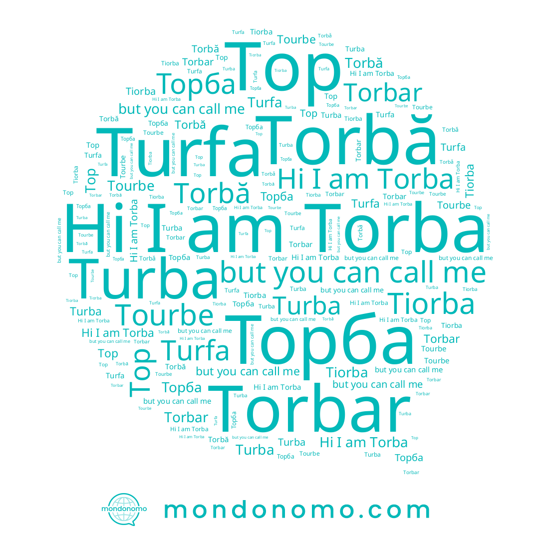 name Torbă, name Torba, name Turba, name Torbar, name Tourbe, name Tiorba, name Turfa, name Торба, name Top