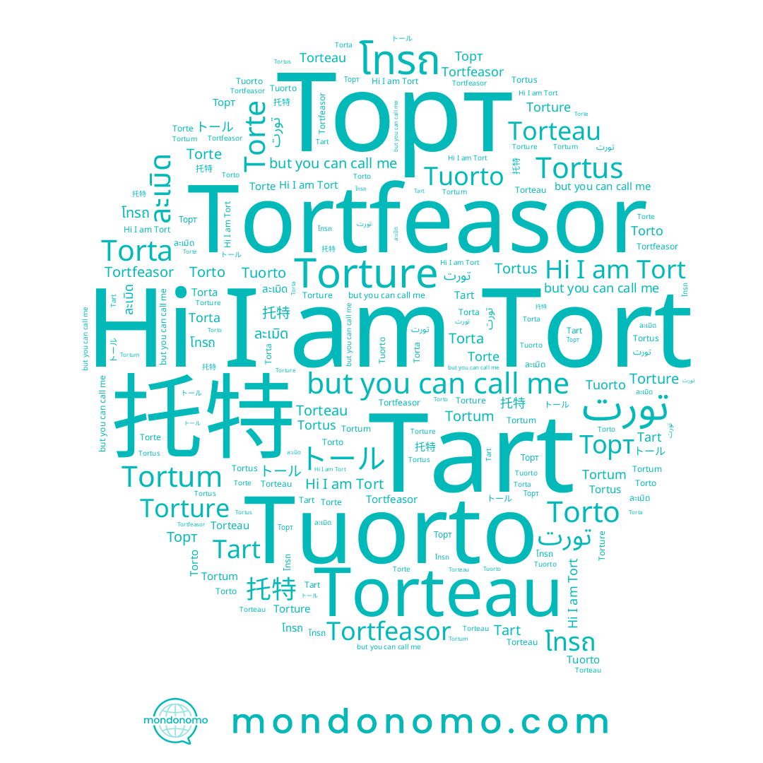 name تورت, name โทรถ, name Tortfeasor, name Tuorto, name Torte, name トール, name Torto, name Tort, name Torta, name Torteau, name 托特, name Tortum, name Tart, name ละเมิด