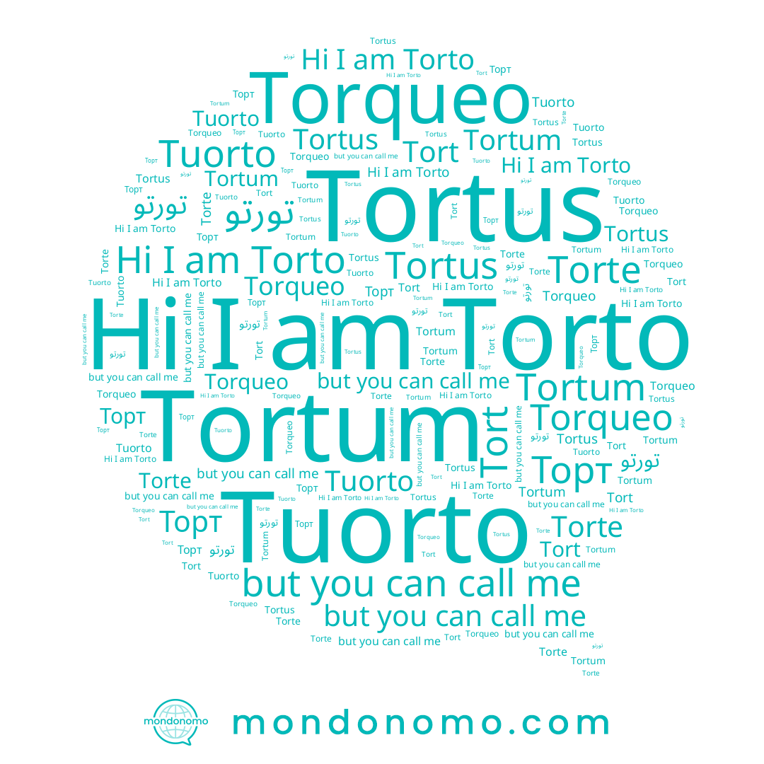 name Tuorto, name Torte, name Tort, name Tortum, name Torqueo, name Torto