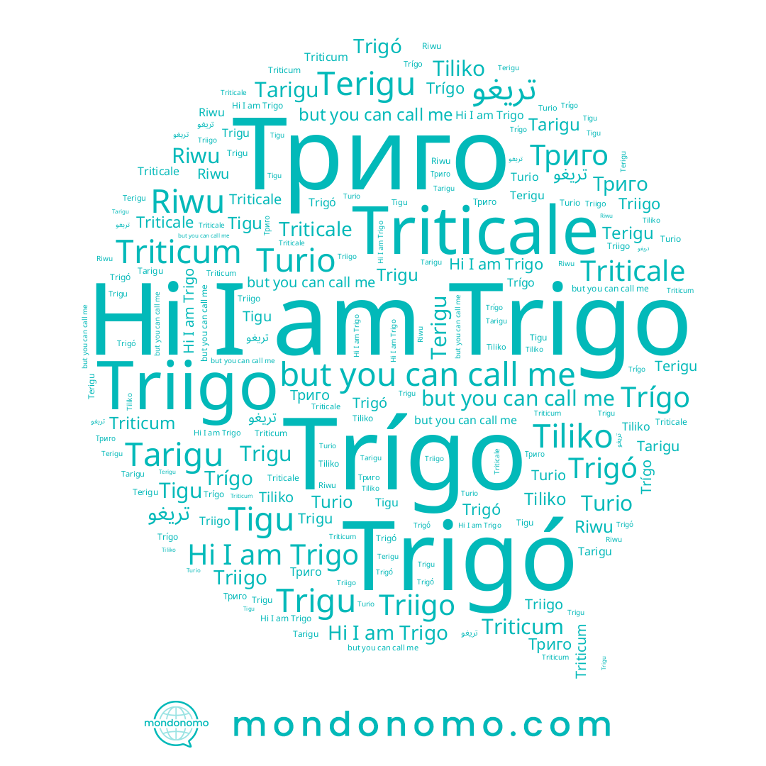 name Триго, name Riwu, name Tarigu, name Tiliko, name Triigo, name Terigu, name Trigo, name Trigu, name Triticale, name تريغو, name Trigó, name Turio, name Tigu, name Trígo
