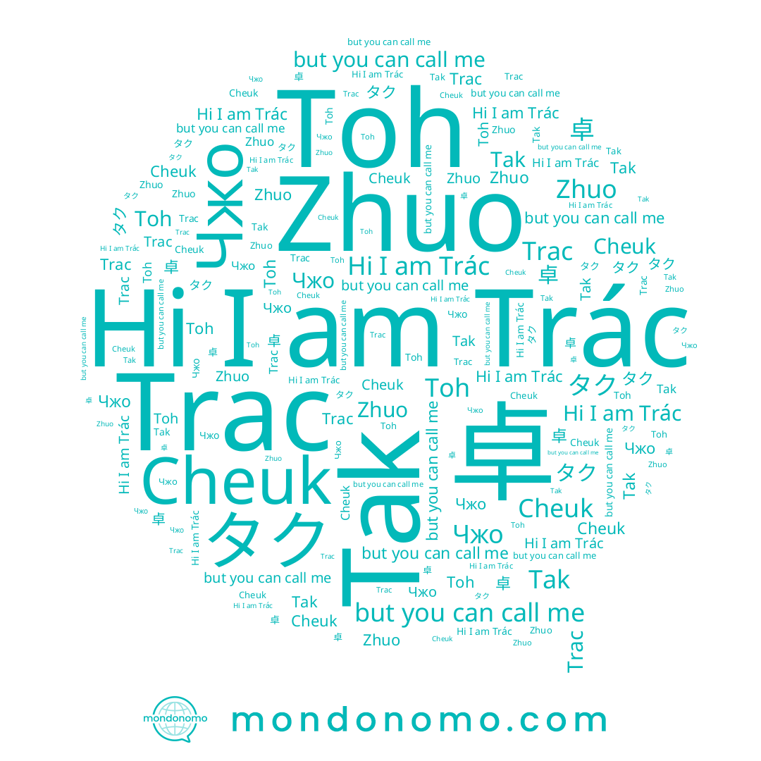 name 卓, name タク, name Tak, name 탁, name Zhuo, name Cheuk, name Trác, name Toh, name Trac, name Чжо