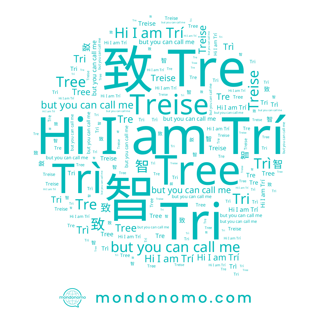 name 致, name Tree, name Treise, name Tre, name Trì, name 智, name Trí, name Tri