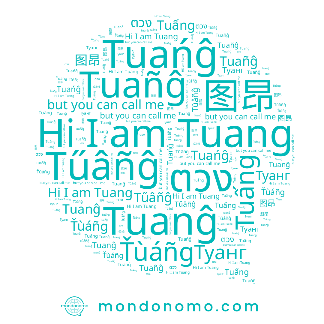 name Tuañĝ, name Tűâñĝ, name Tuang, name Туанг, name Tuańĝ, name Tuấng, name Tuanĝ, name Ťùáñg, name 图昂, name ตวง