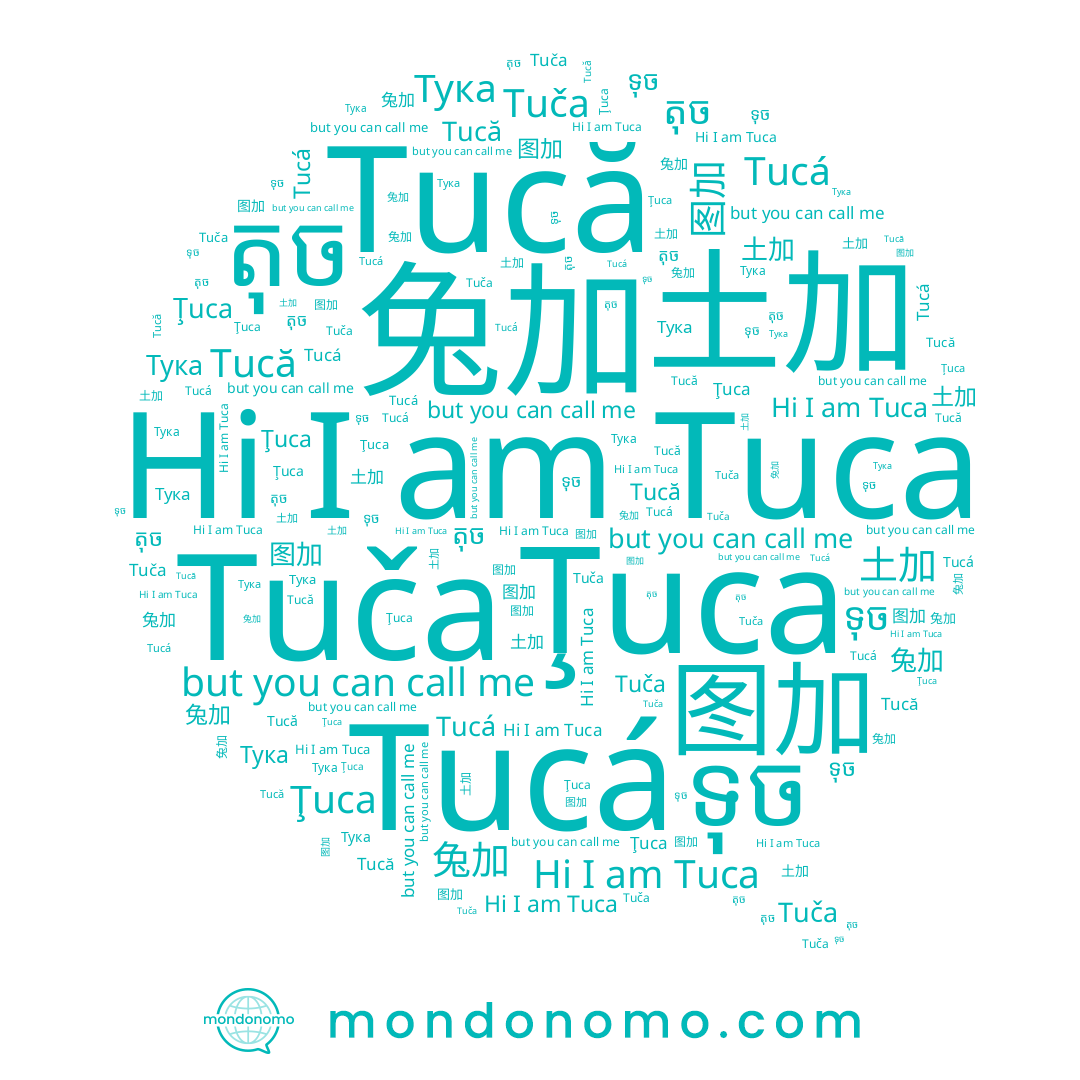 name Tucă, name Tucá, name 土加, name Тука, name 兔加, name Ţuca, name តុច, name 图加, name Tuca, name ទុច, name Tuča