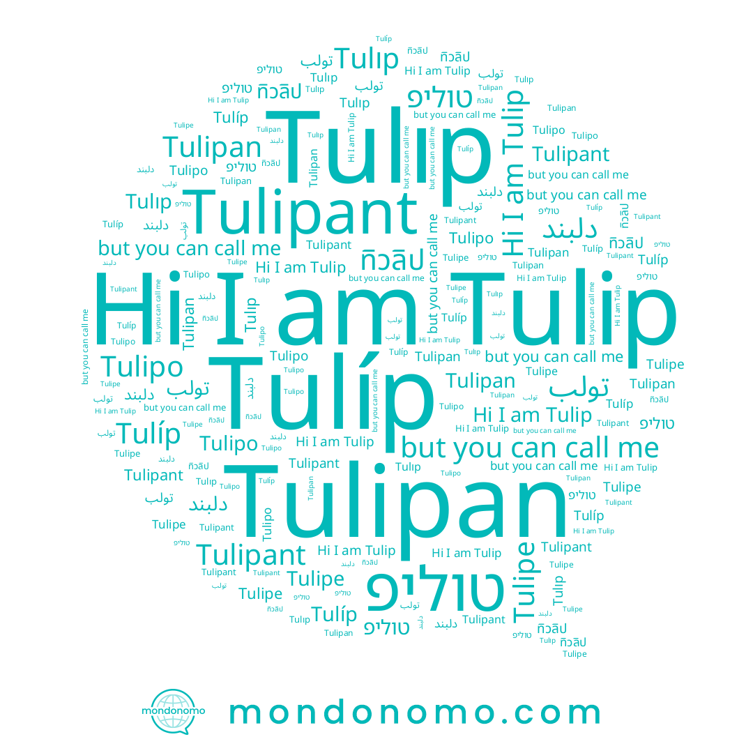 name Tulipant, name تولب, name Tulipo, name Tulíp, name Tulıp, name ทิวลิป, name טוליפ, name دلبند, name Tulipe, name Tulip, name Tulipan