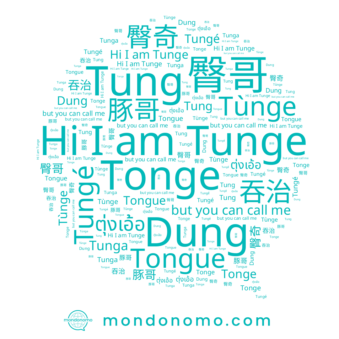 name Tongue, name ตุ่งเอ้อ, name Dung, name Tunga, name 豚哥, name Tung, name Tunge, name 吞治, name Tùnge, name Tungé, name 臀哥, name 臀奇, name Tonge