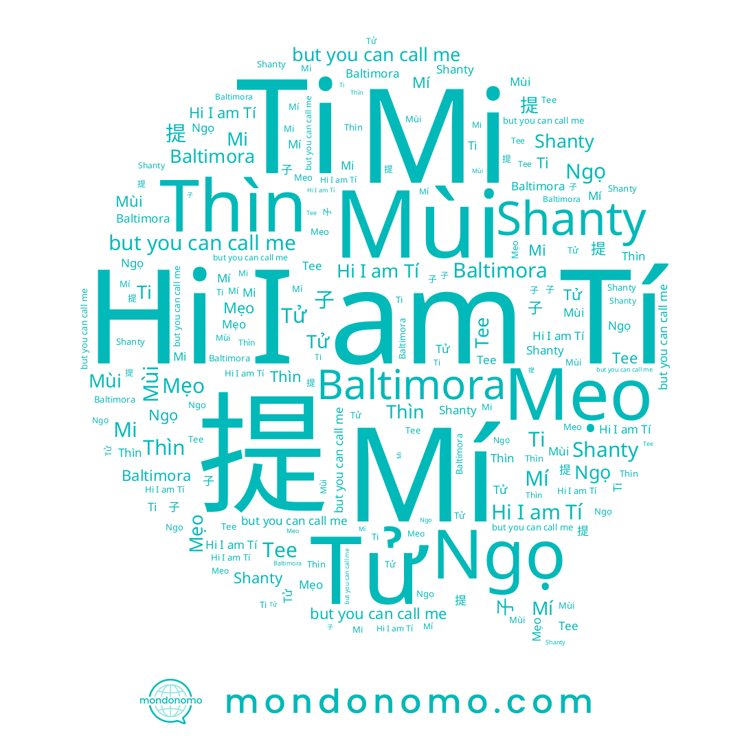 name Mi, name Tử, name Baltimora, name Tí, name 子, name Mẹo, name Ti, name Mí, name Mùi, name 提, name Ngọ, name Tee, name Shanty, name Thìn