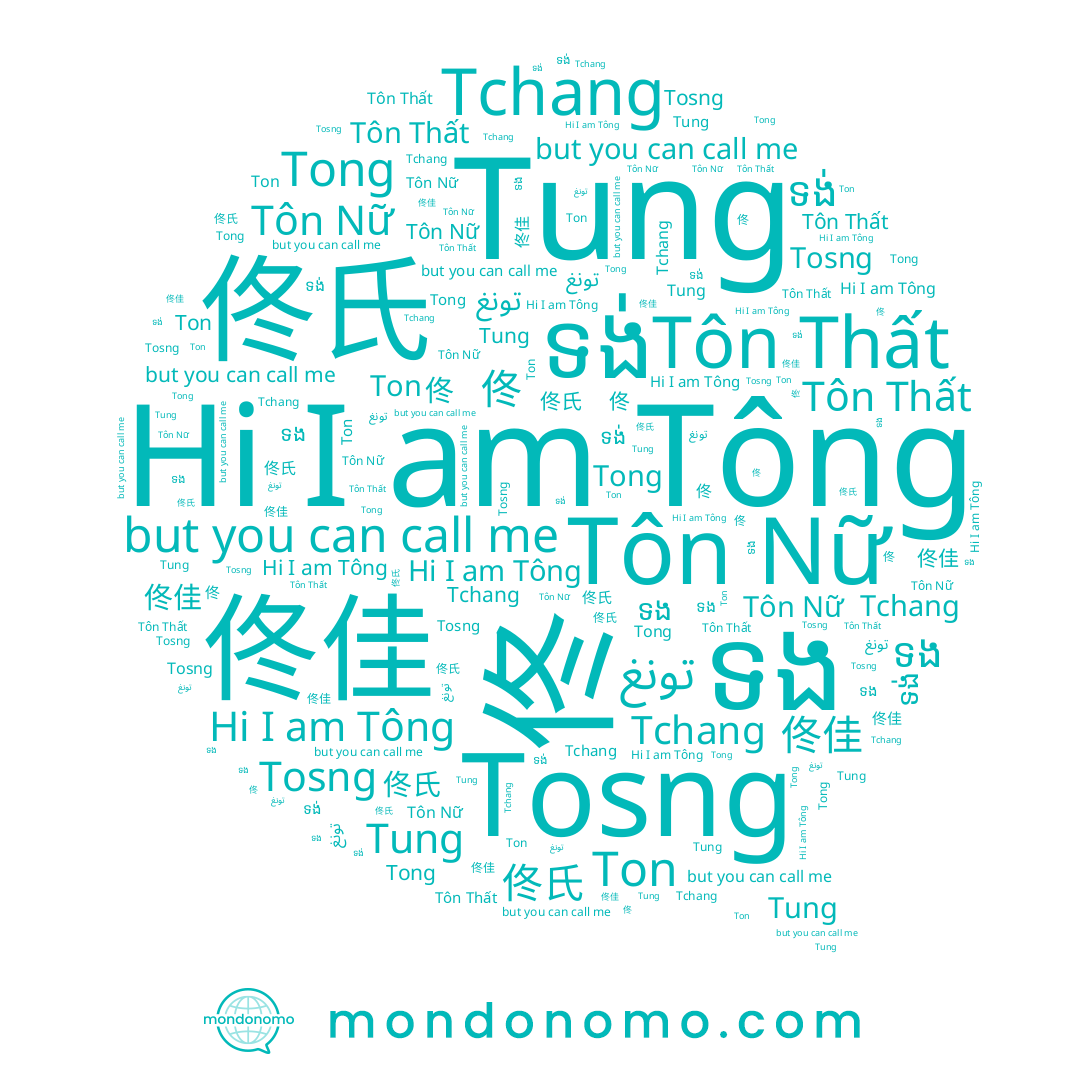 name 성종, name Tchang, name Ton, name 佟, name 佟佳, name Tông, name 佟氏, name Tung, name ទង់, name Tong, name تونغ, name ទង, name Tôn Thất