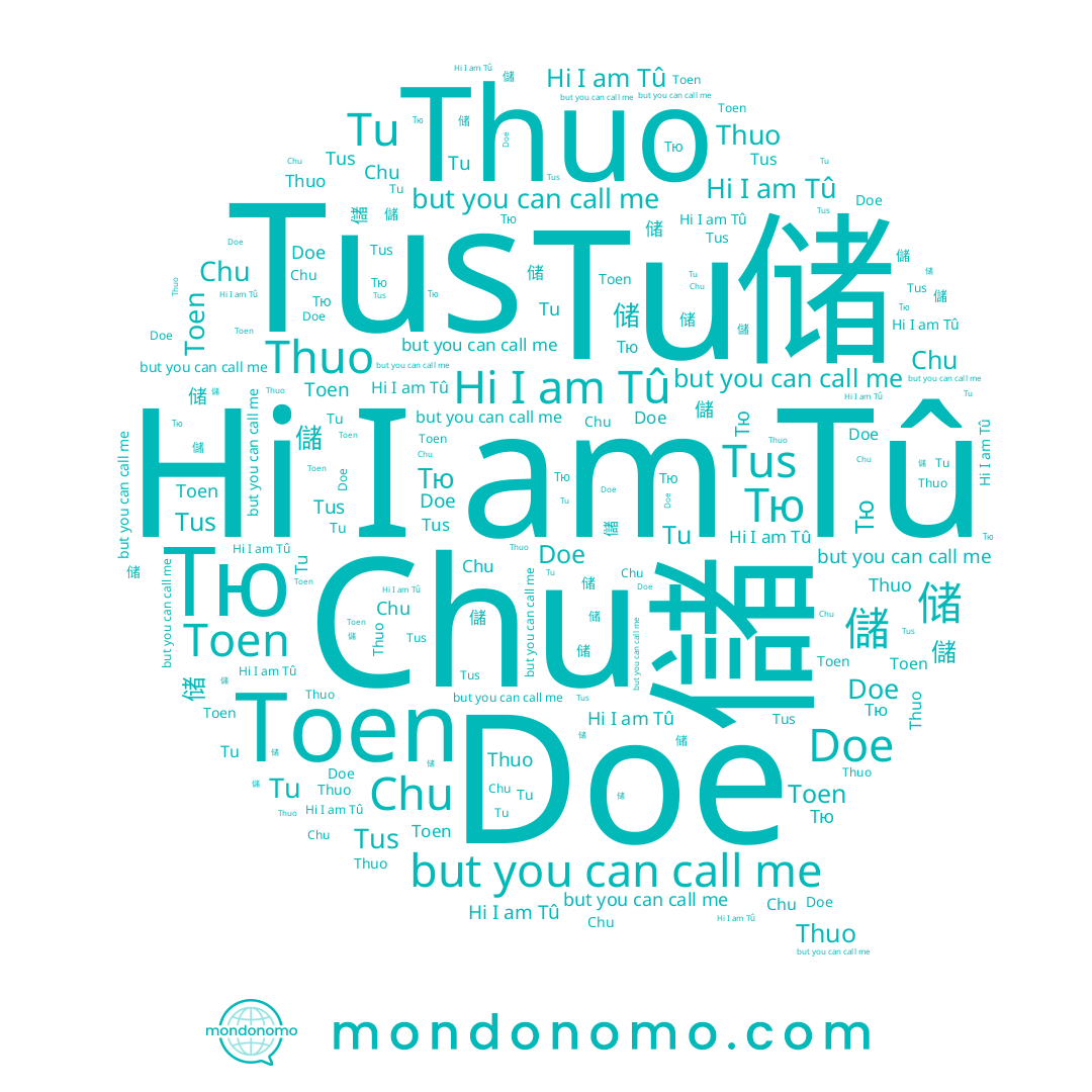 name Tu, name 储, name Thuo, name Chu, name Doe, name 儲, name Toen, name Tû, name Тю