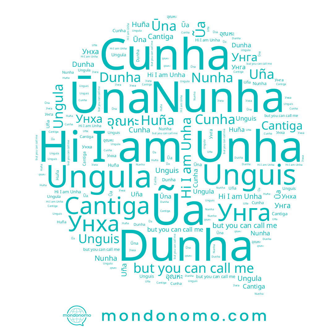 name Ungula, name Unha, name อุณหะ, name Dunha, name Nunha, name Uña, name Унха, name Cunha, name Unguis, name Ūna, name Huña, name 운하, name Cantiga, name Ũa