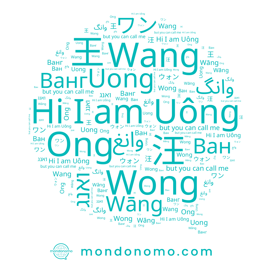 name وانغ, name Ванг, name ואנג, name Wong, name Uông, name Uong, name 王, name 汪, name ウォン, name Ong, name Wang, name ワン, name Wāng, name Ван, name وانگ, name 왕