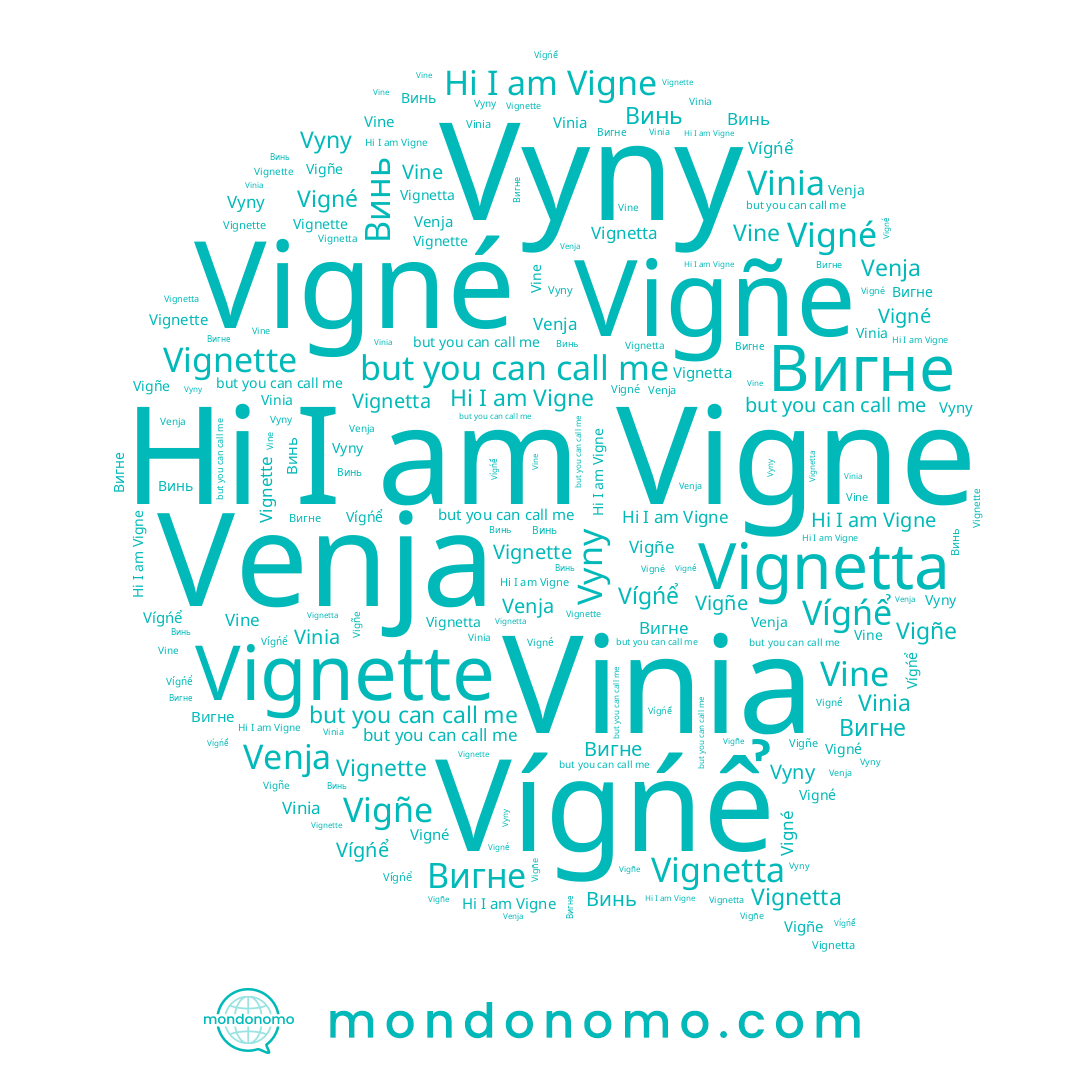 name Vyny, name Вигне, name Vigné, name Vine, name Venja, name Vígńể, name Vinia, name Vignette, name Vigne, name Винь, name Vignetta, name Vigñe