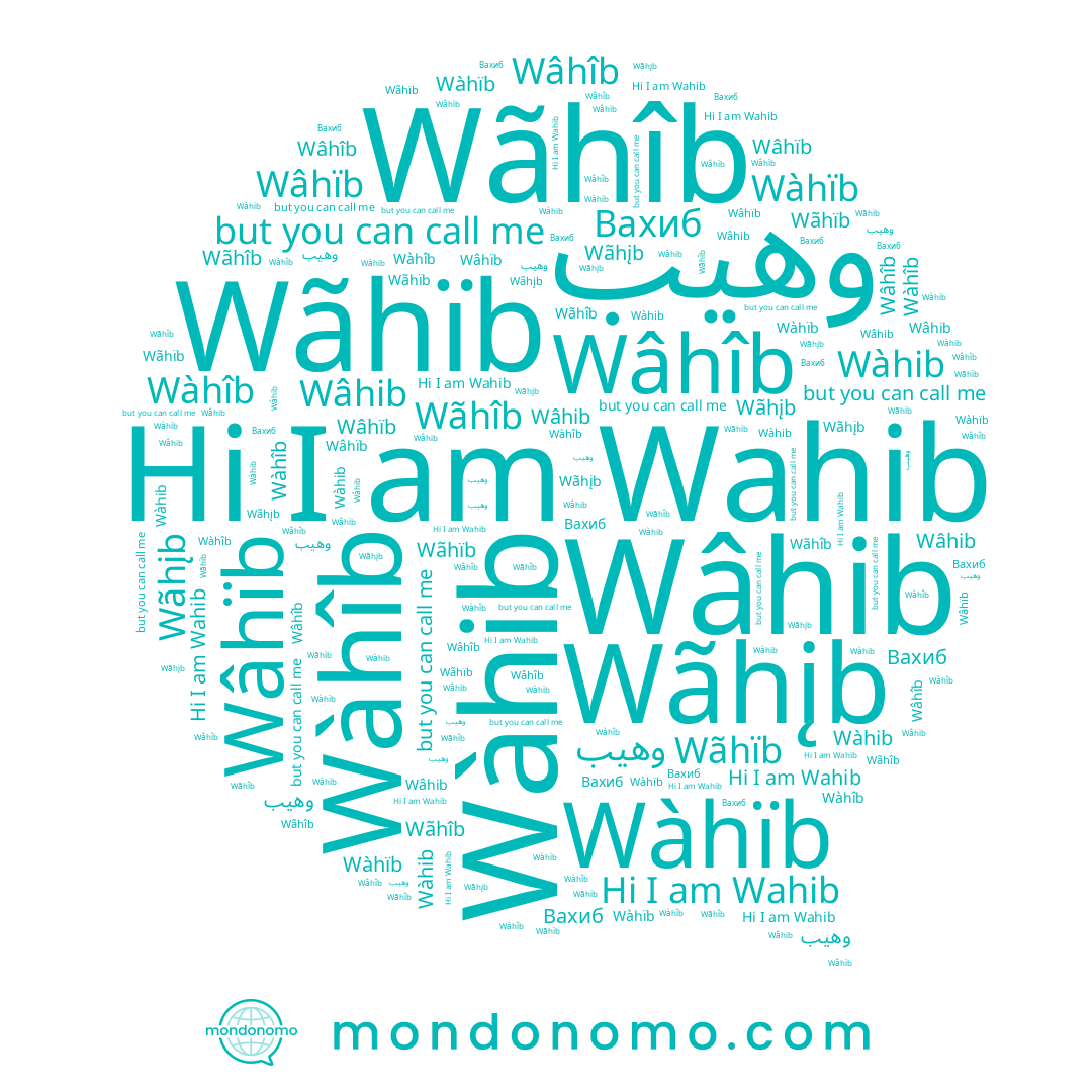 name Wâhib, name Wahib, name Wãhîb, name Wâhïb, name Wàhîb, name Wãhïb, name Wàhïb, name Вахиб, name Wàhib, name Wãhįb, name وهيب, name Wâhîb
