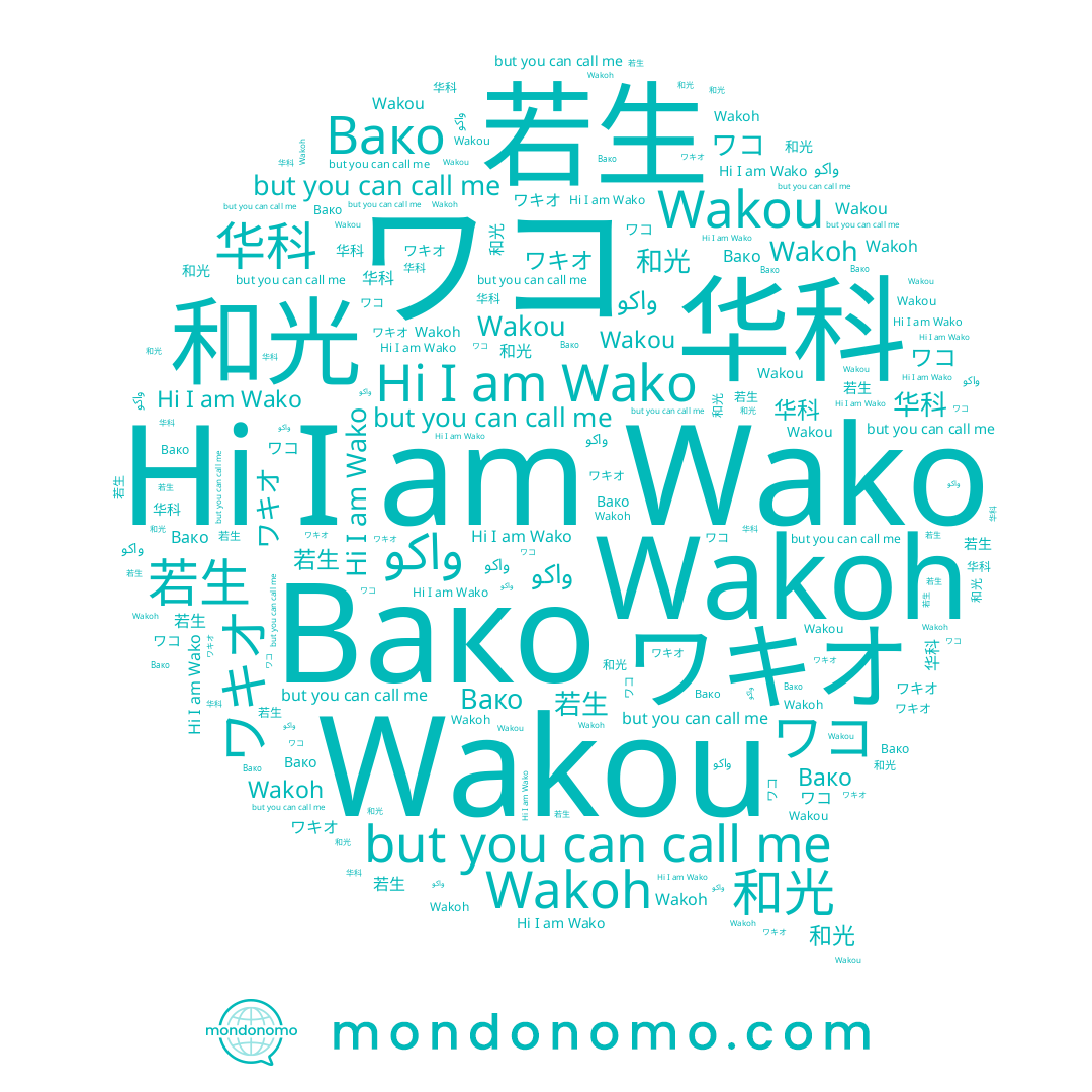 name Wakou, name 若生, name ワコ, name Wakoh, name 和光, name Wako, name ワキオ, name 华科